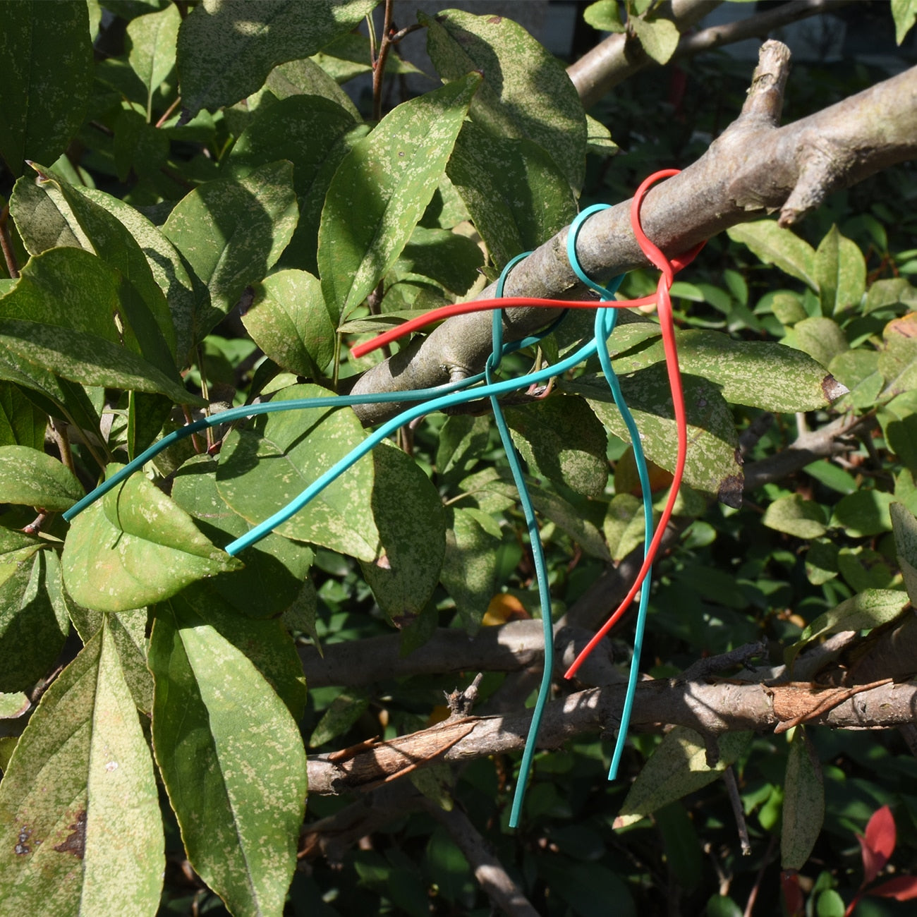 Plant Garden Plastic Reusable Cable Ties | Adjustable Plastic Cable