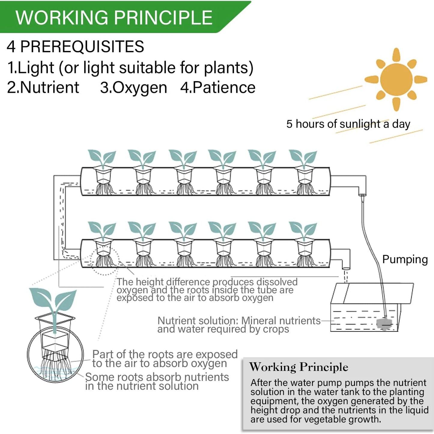 Hydroponics Growing System Kits 36 Sites Food PVC-Pipe Hydroponic