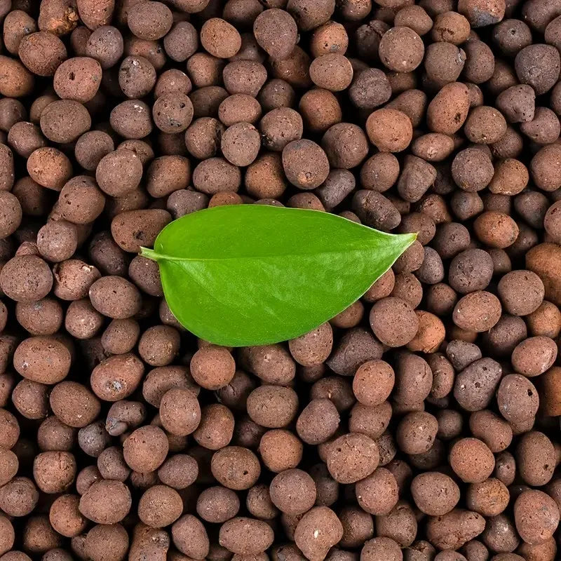 1LB Reusable Hydroponic Clay Pebbles Natural Hydroponic Growing Clay