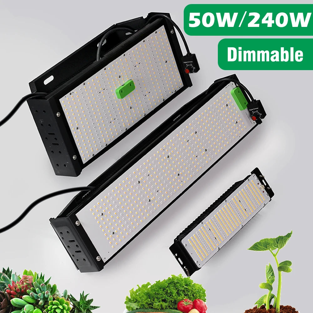 Full Spectrum LED Grow Light AC85-265V LM301B 312Pcs 3000K 6500K