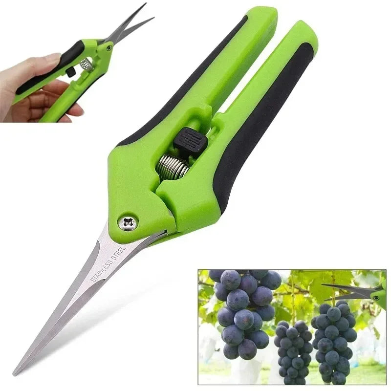6.5 Inch Gardening Scissors Hand Pruner Pruning Shears Trimming
