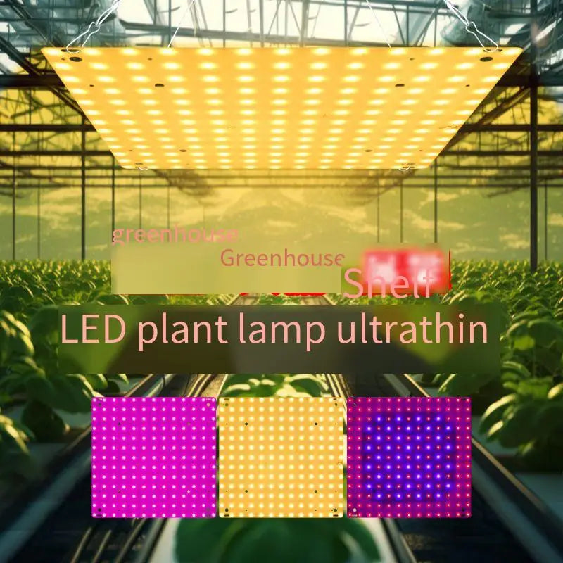 O LED Full Spectrum Grow Light Quantum Board Plant UV Lamp Indoor