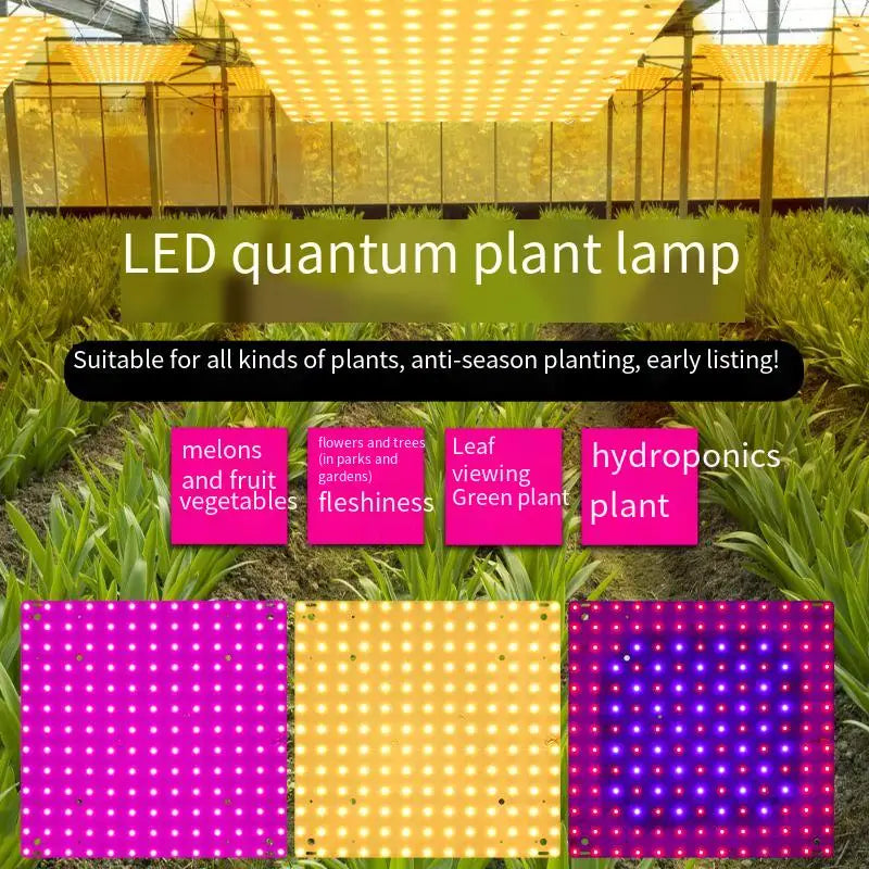 O LED Full Spectrum Grow Light Quantum Board Plant UV Lamp Indoor