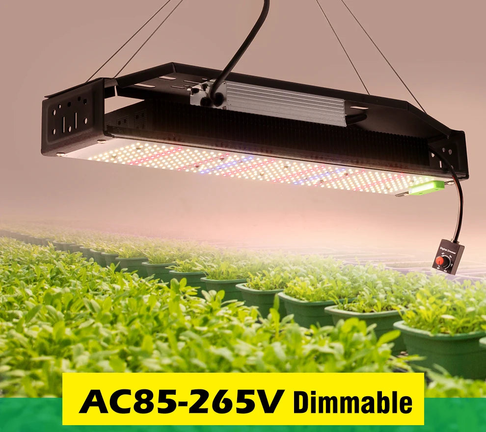 Full Spectrum LED Grow Light AC85-265V LM301B 312Pcs 3000K 6500K