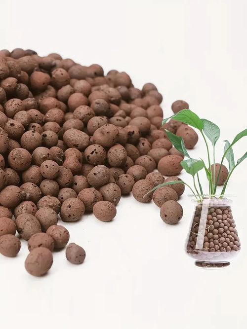 1LB Reusable Hydroponic Clay Pebbles Natural Hydroponic Growing Clay