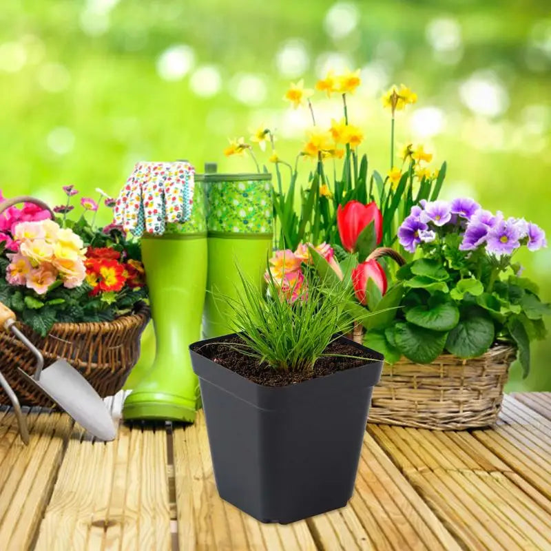 Seedling Pots 50Pcs Square Plant Seeding- Planting Cup Plastic Deep