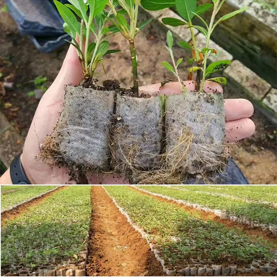 100pcs Biodegradable Seed Nursery Bags, Non-Woven Plants GrowBags,
