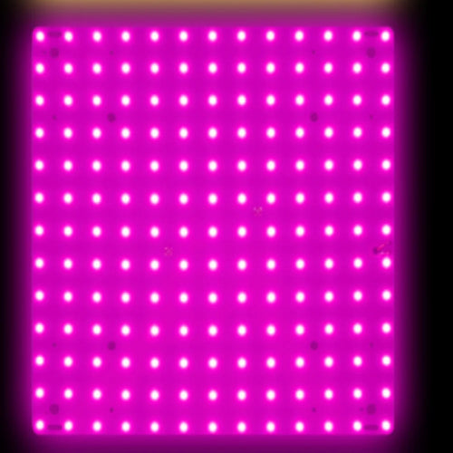 O LED Full Spectrum Grow Light Quantum Board Plant UV Lamp Indoor