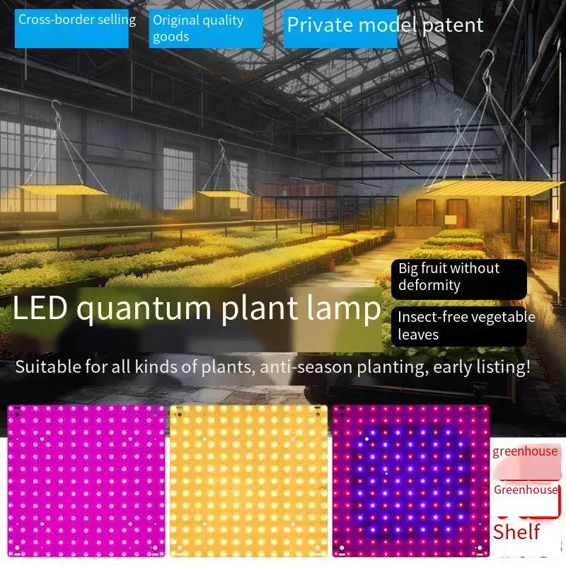 O LED Full Spectrum Grow Light Quantum Board Plant UV Lamp Indoor