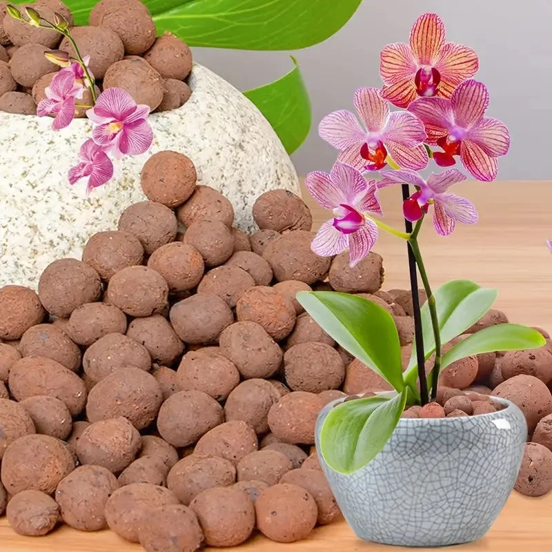 1LB Reusable Hydroponic Clay Pebbles Natural Hydroponic Growing Clay