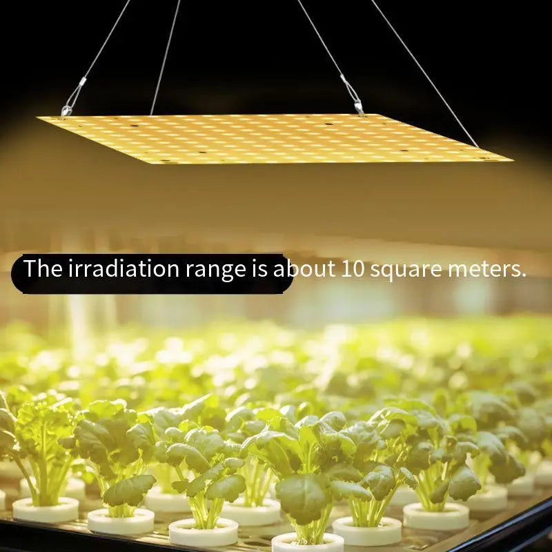 O LED Full Spectrum Grow Light Quantum Board Plant UV Lamp Indoor