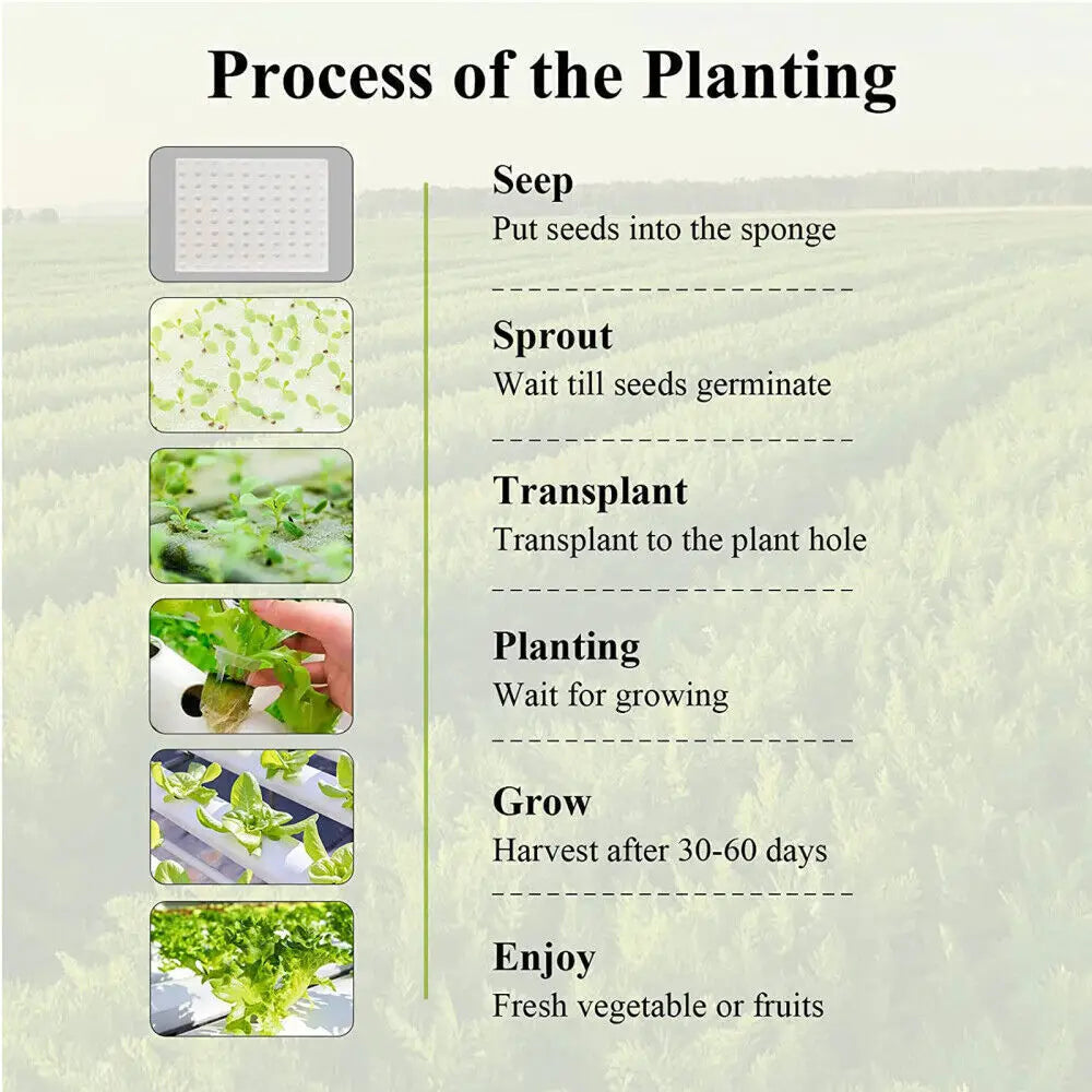 Hydroponics Growing System Kits 36 Sites Food PVC-Pipe Hydroponic
