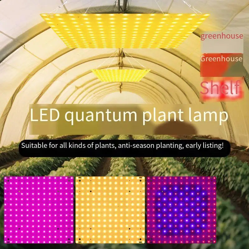 O LED Full Spectrum Grow Light Quantum Board Plant UV Lamp Indoor