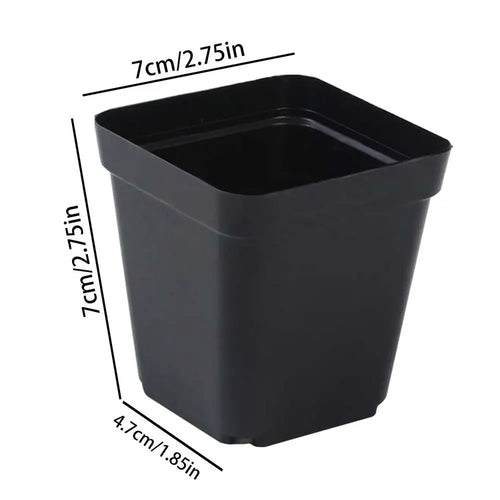 Seedling Pots 50Pcs Square Plant Seeding- Planting Cup Plastic Deep