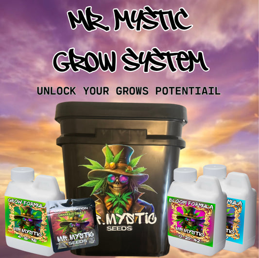 Mr Mystic All in One Hydro System