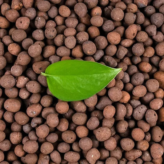 1LB Reusable Hydroponic Clay Pebbles Natural Hydroponic Growing Clay