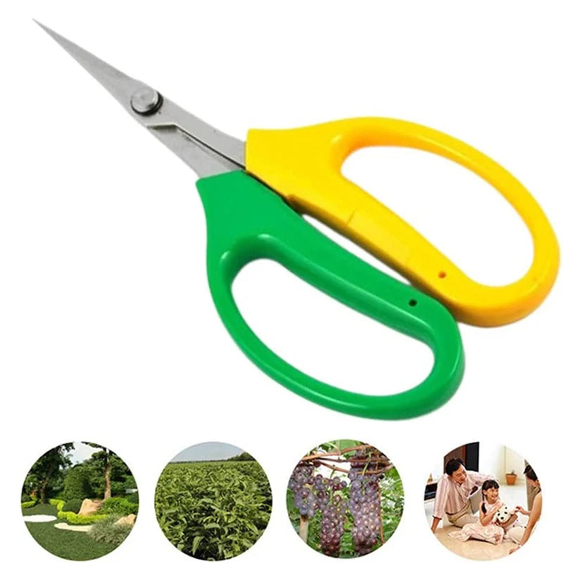 Multifunctional Alice Garden Scissors Sturdy Garden Fruit and Grape