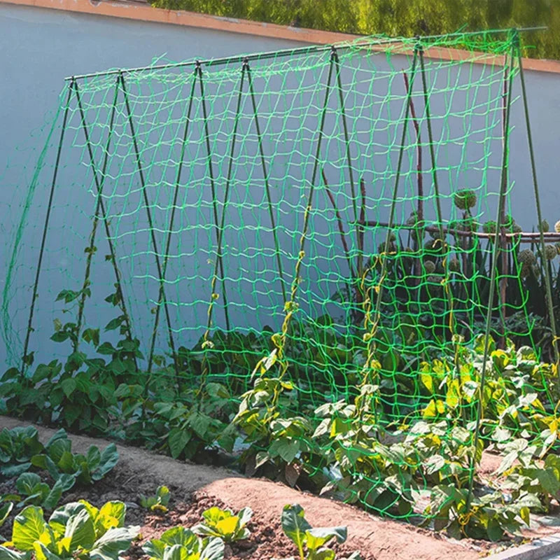 Plant Trellis Pergolas, Heavy-Duty Polyester Grow Net, Garden Trellis