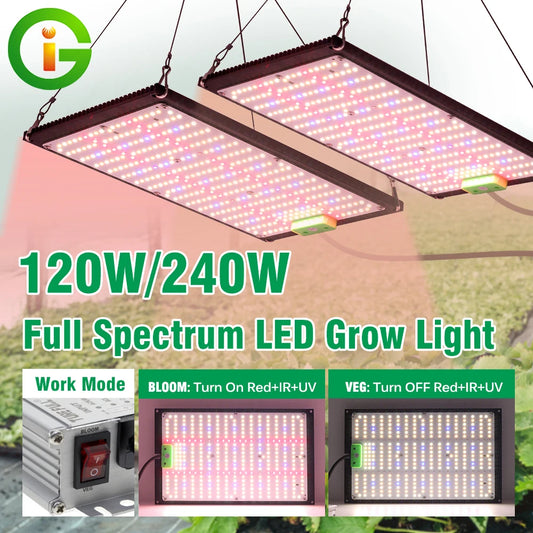 Led Grow Light 120W 240W Full Spectrum Dimmable Phytolamp LM301H Chips