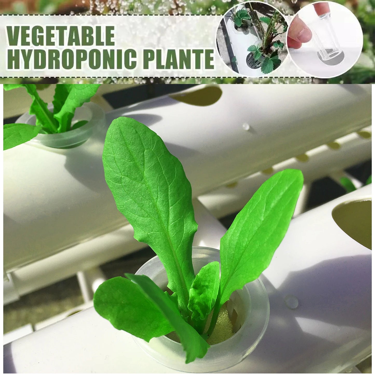 Hydroponics Growing System Kits 36 Sites Food PVC-Pipe Hydroponic