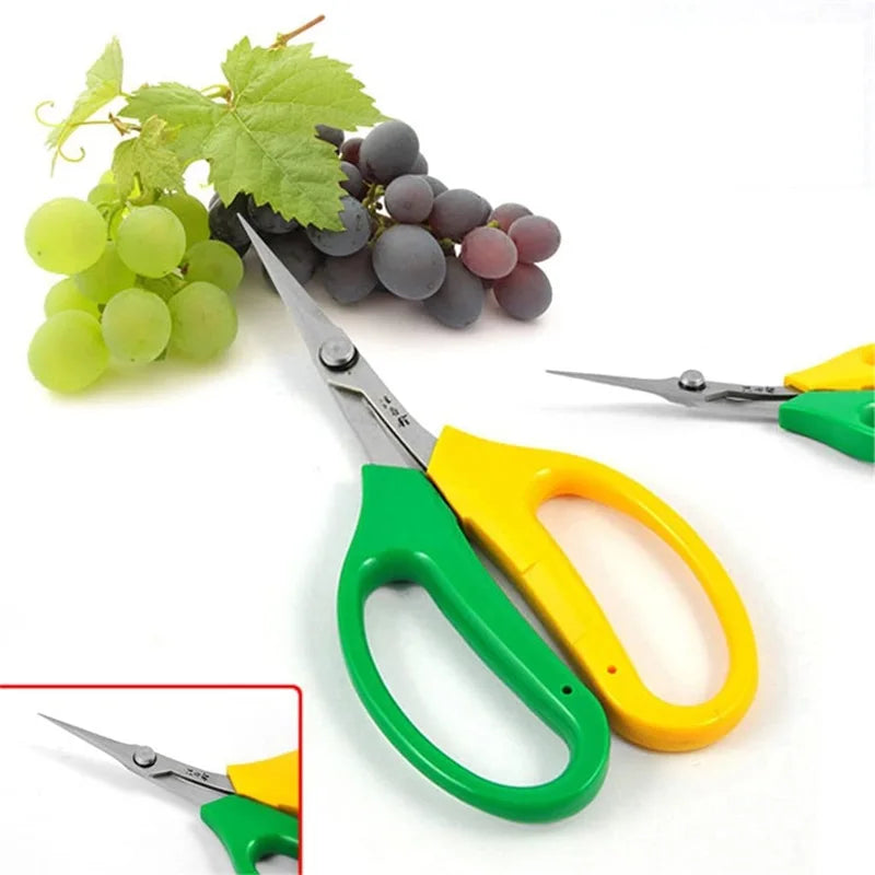 Multifunctional Alice Garden Scissors Sturdy Garden Fruit and Grape