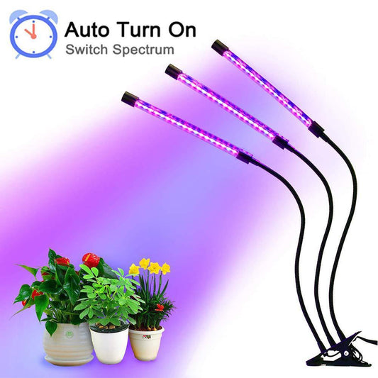 LED Grow Light 12v Fitolampy LED Phyto Lamp For Indoor Vegetable